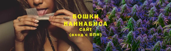 PSILOCYBIN Абдулино